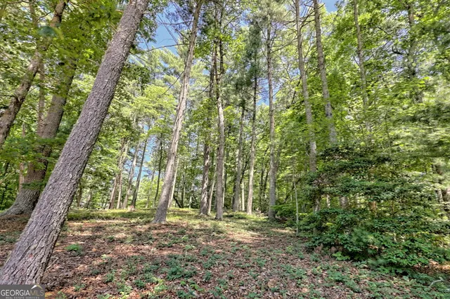 $825,000 | 208 Colony Road, Dillard, GA 30537