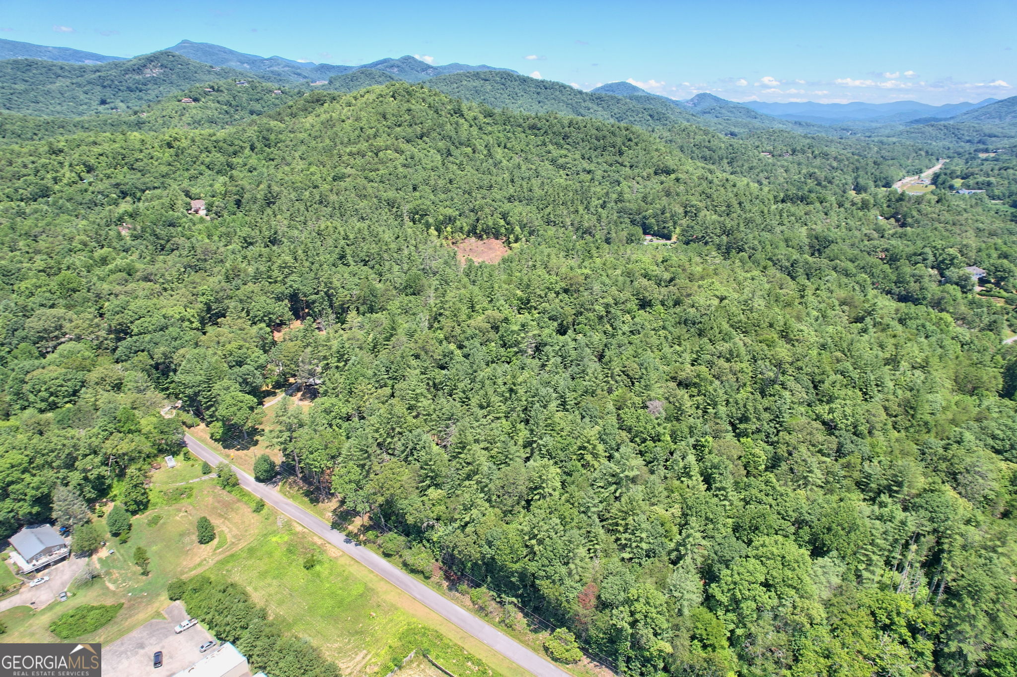 208 Colony Road Dillard, GA 30537 - Photo 71 of 80 a view of a lush green forest with a mountain in the background