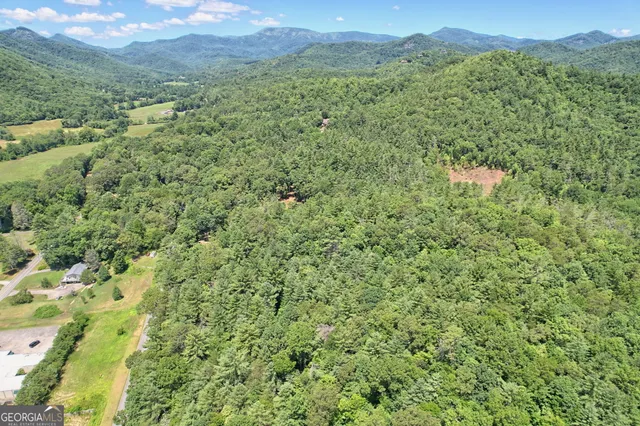 $825,000 | 208 Colony Road, Dillard, GA 30537