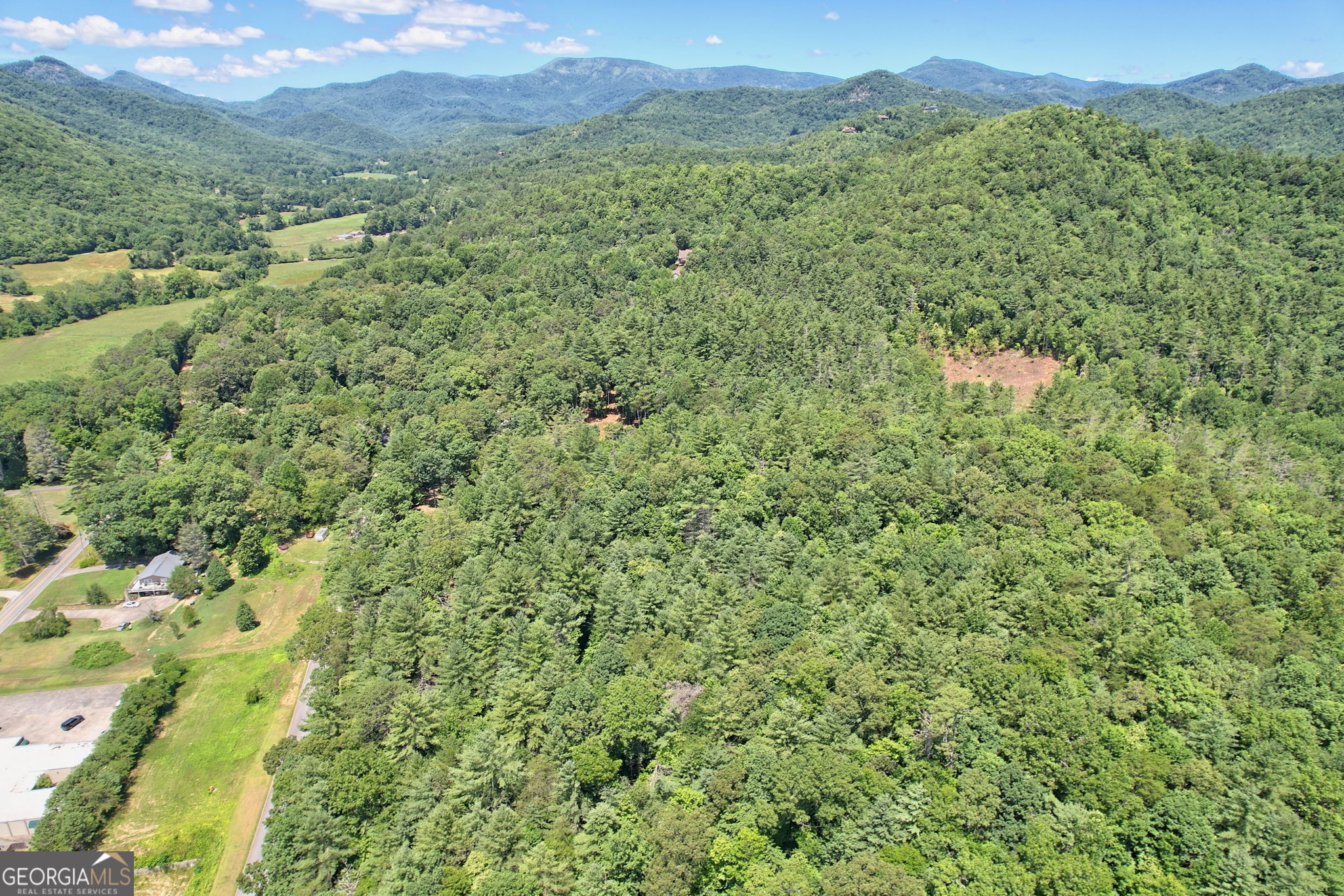 208 Colony Road Dillard, GA 30537 - Photo 72 of 80 a view of a lush green forest with a house in the background