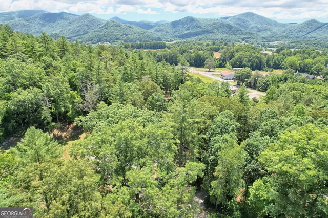 $825,000 | 208 Colony Road, Dillard, GA 30537