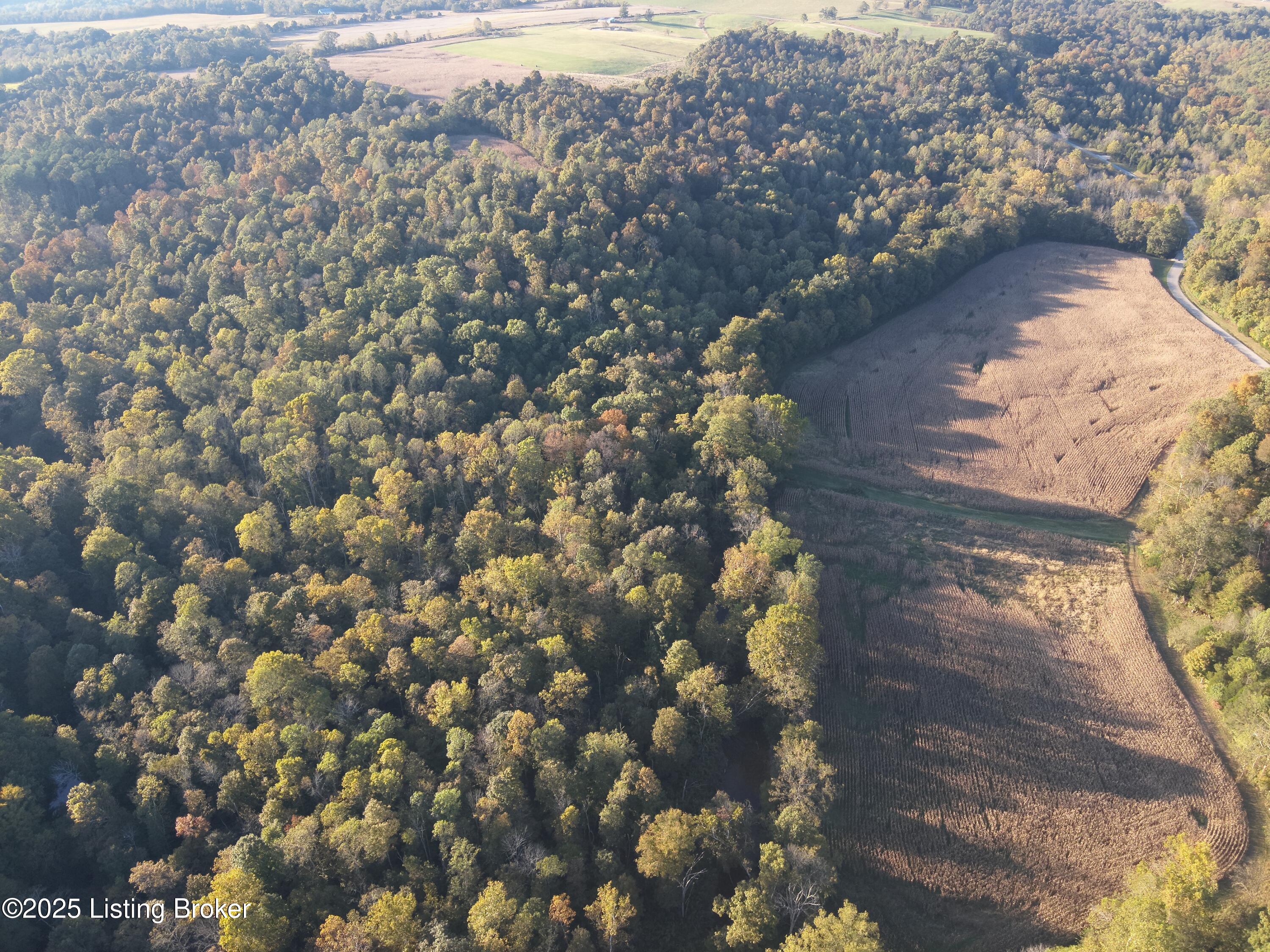 981 Limp Road Big Clifty, KY 42712 - Photo 35 of 44 DJI_20251012175822_0004_W
