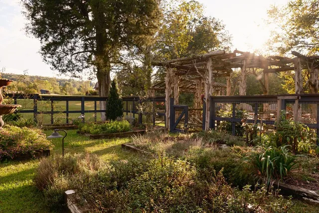 a view of a forest with a yard