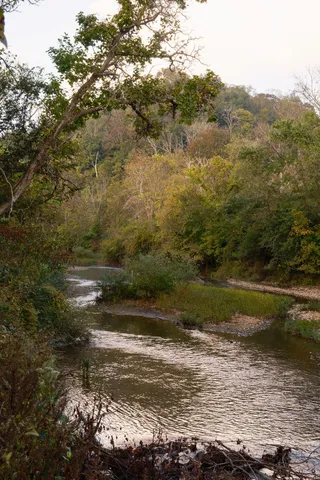 $6,995,000 | 5297 Old Harding Road, Franklin, TN 37064