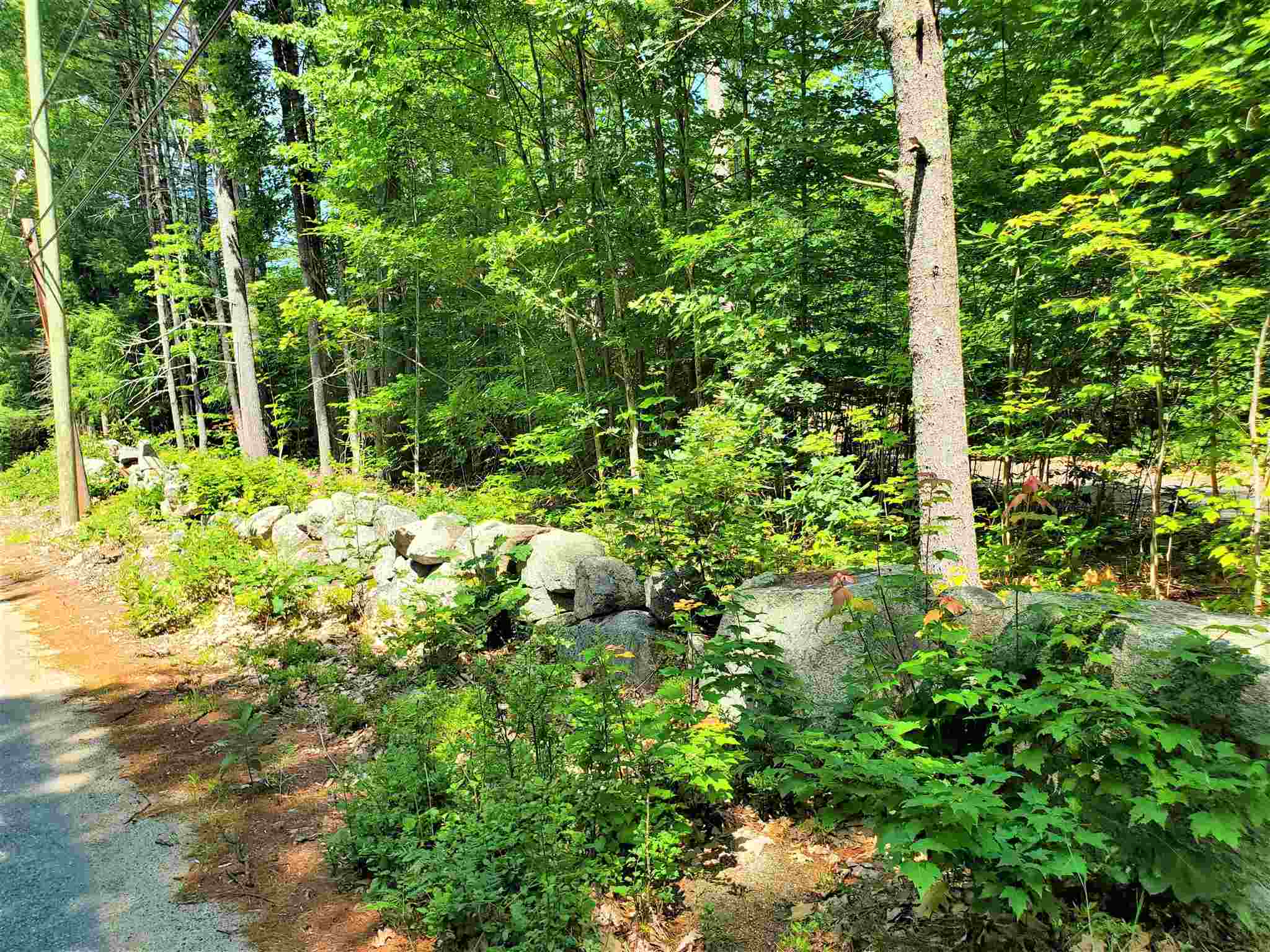 75 Champion Hill Road Effingham, NH 03882 - Photo 3 of 12 Gallery Image 3
