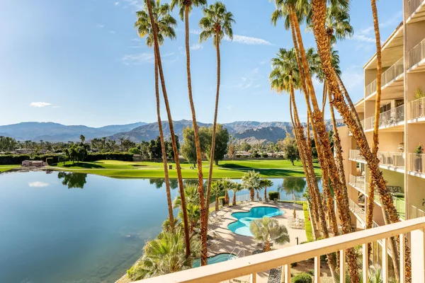 a view of a lake with a palm and trees