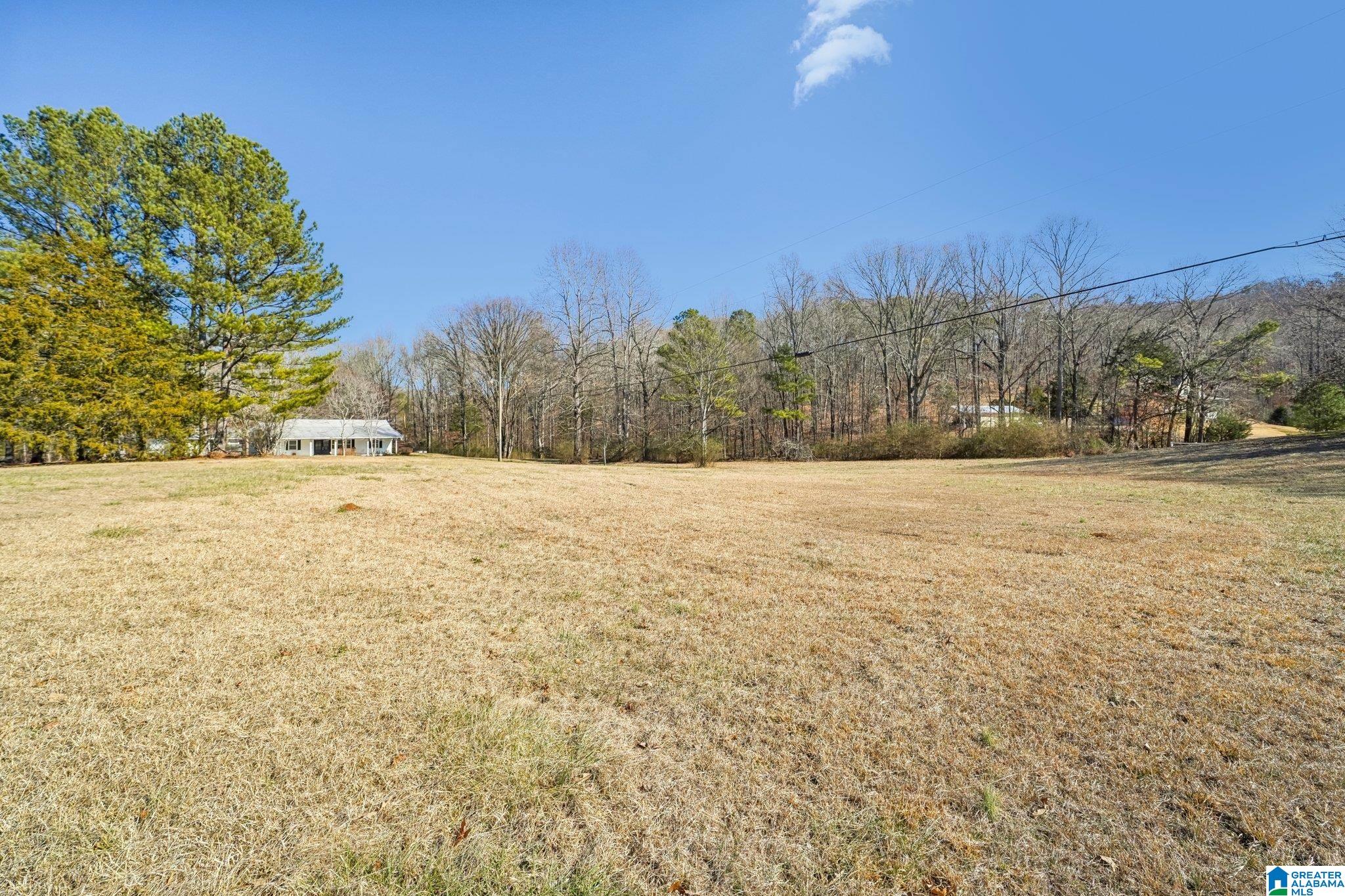 8491 Clayton Cove Road Springville, AL 35146 - Photo 29 of 42
