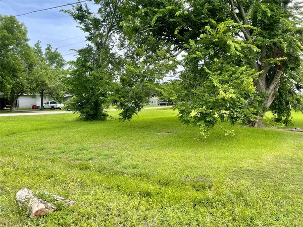 a view of an ocean from a yard