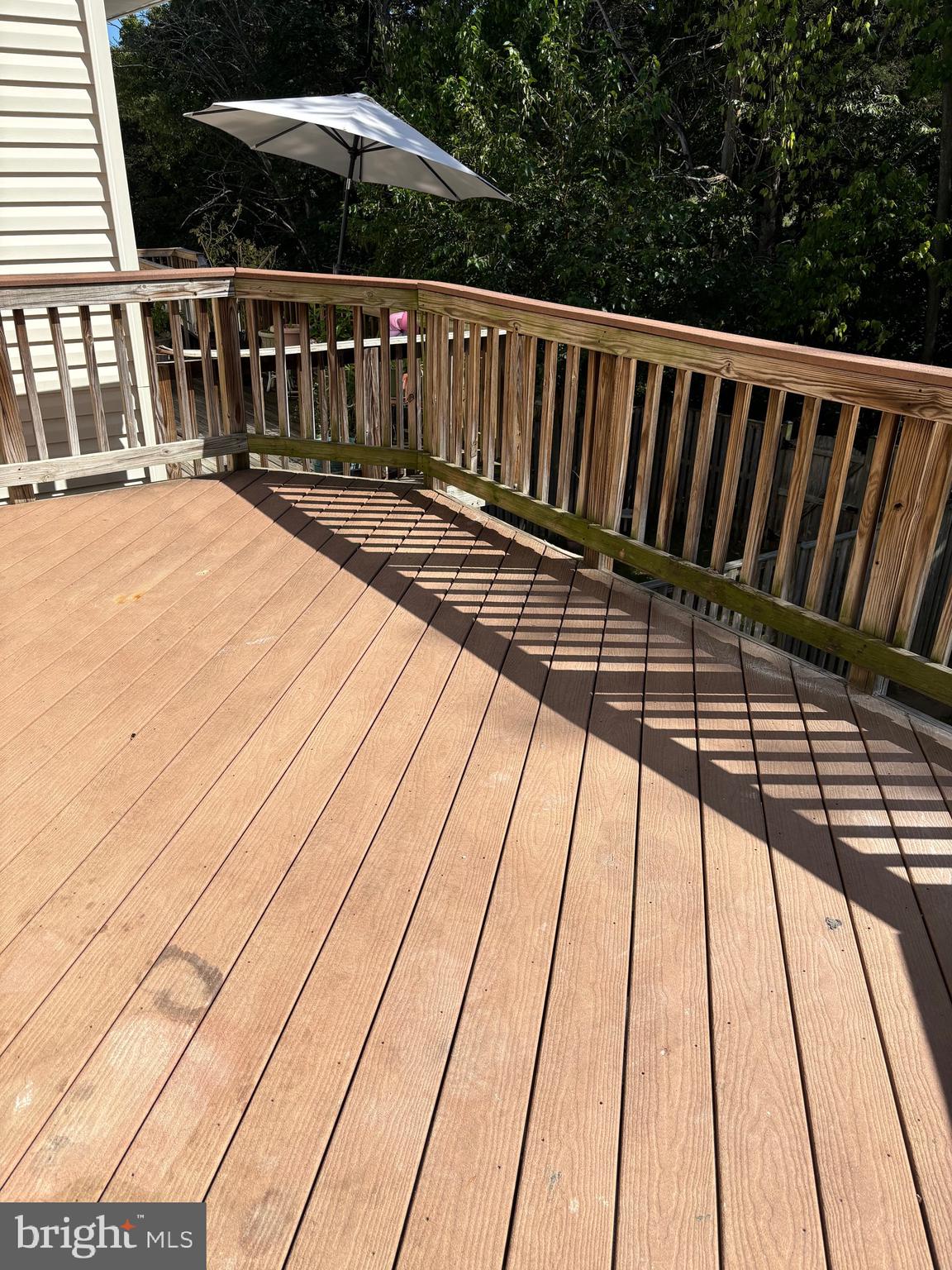 802 Pendleton Lane Strasburg, VA 22657 - Photo 7 of 13