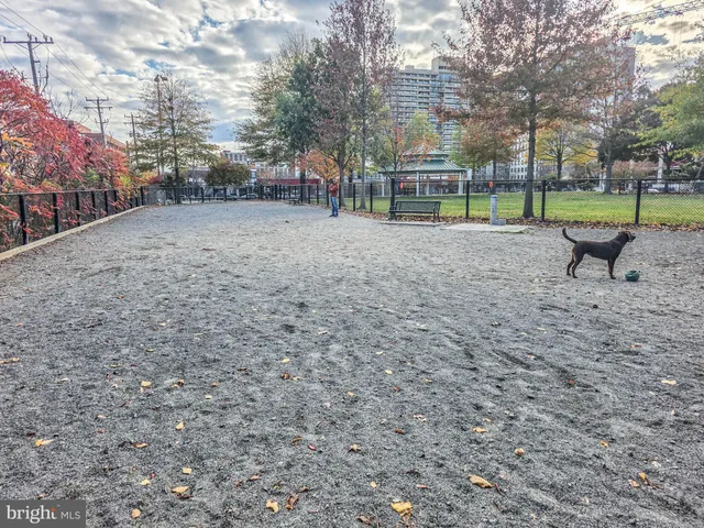 $4,500 | 1023 North Royal Street, Unit 302, Alexandria, VA 22314