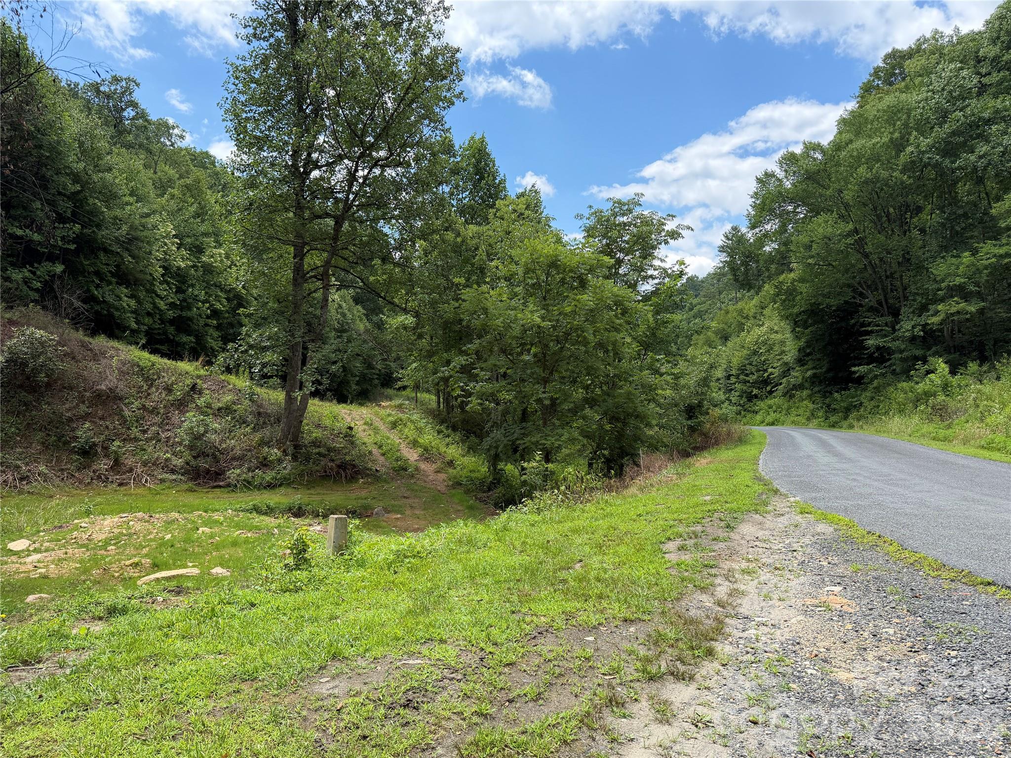 366 Renfro Road Green Mountain, NC 28740 - Photo 5 of 40 Gallery Image 5