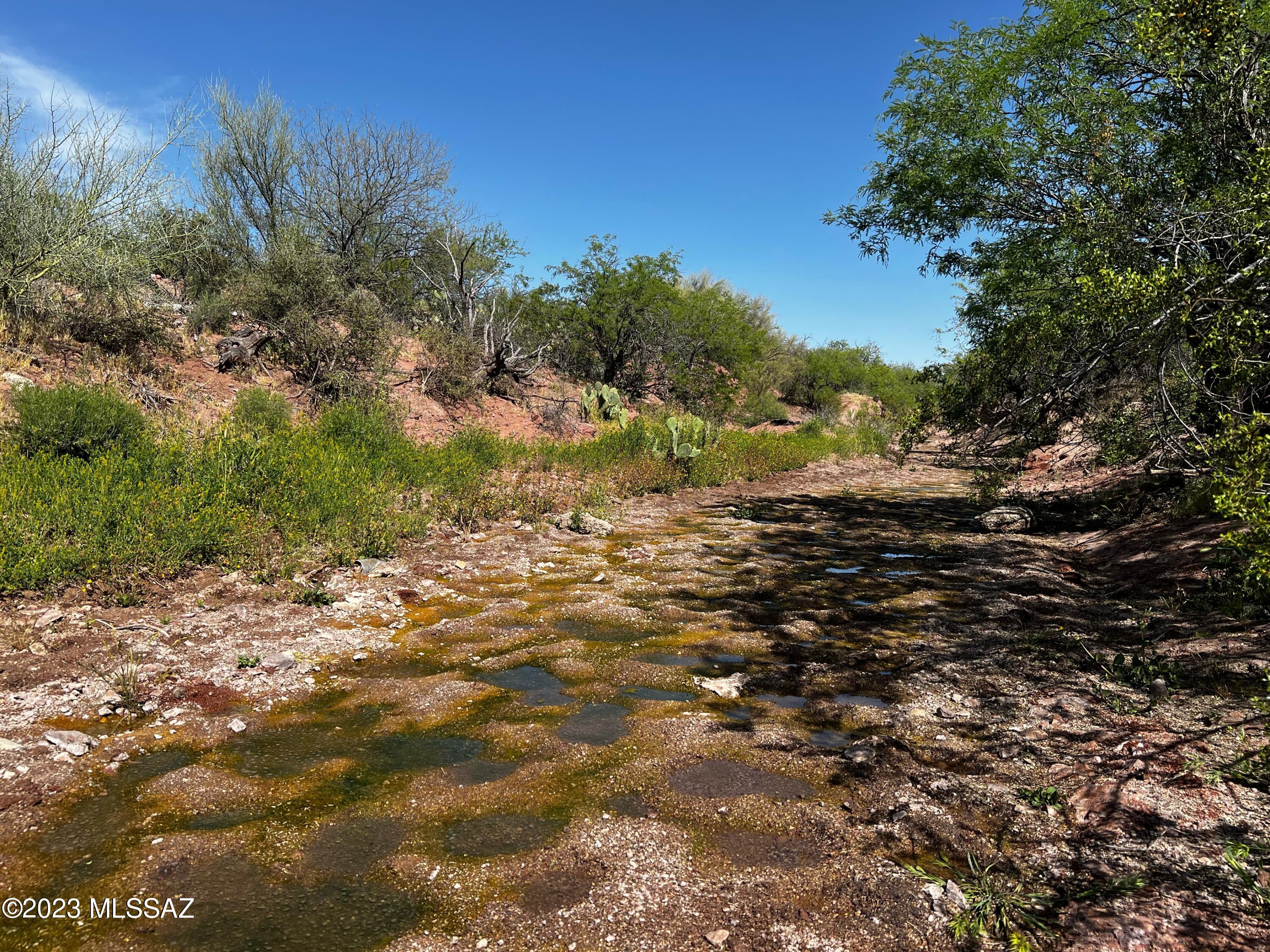 47245 East Forman Ranch Road Tucson, AZ 85739 - Photo 32 of 44