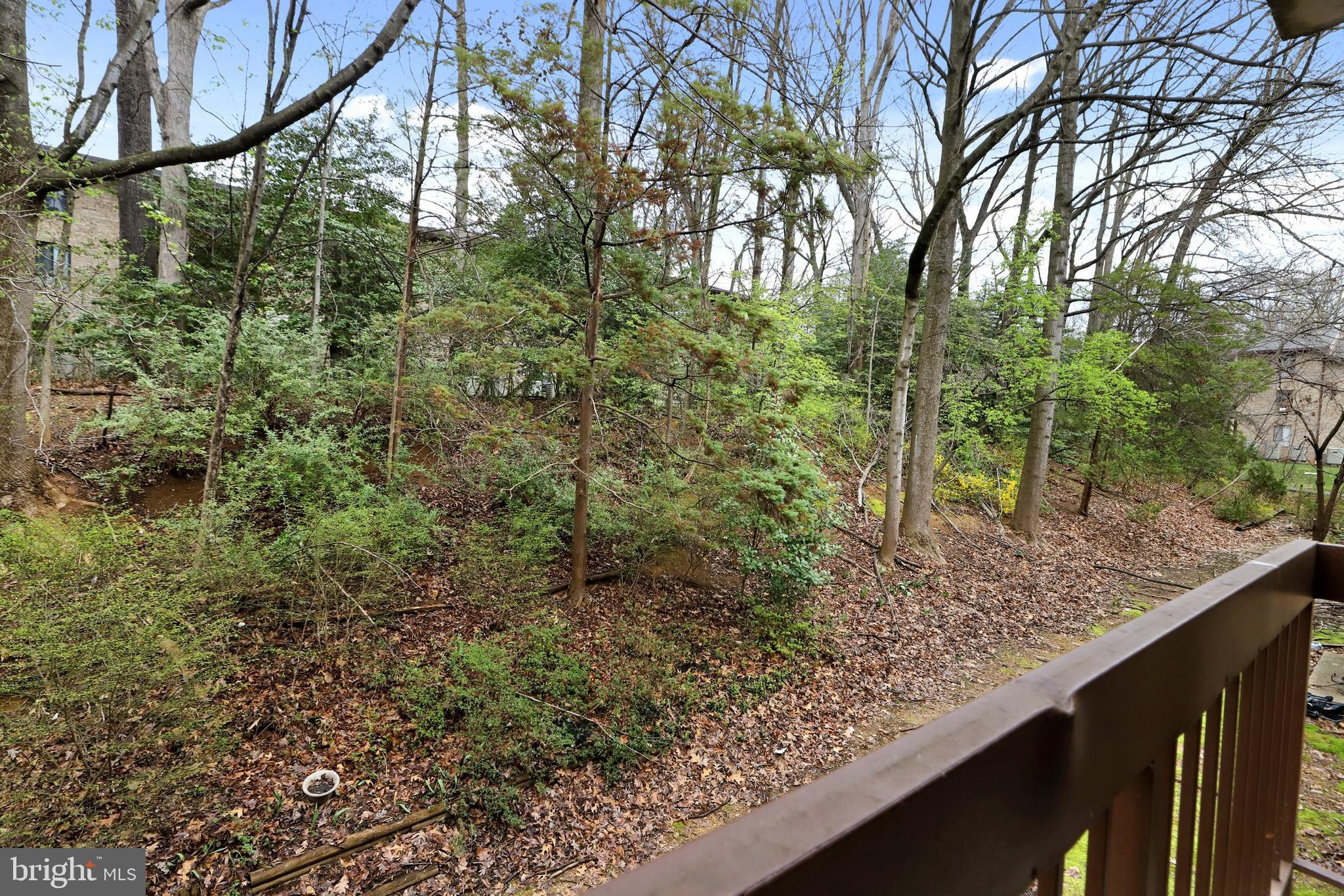 11654 Stoneview Square, Unit 12C Reston, VA 20191 - Photo 20 of 21 Gallery Image 20