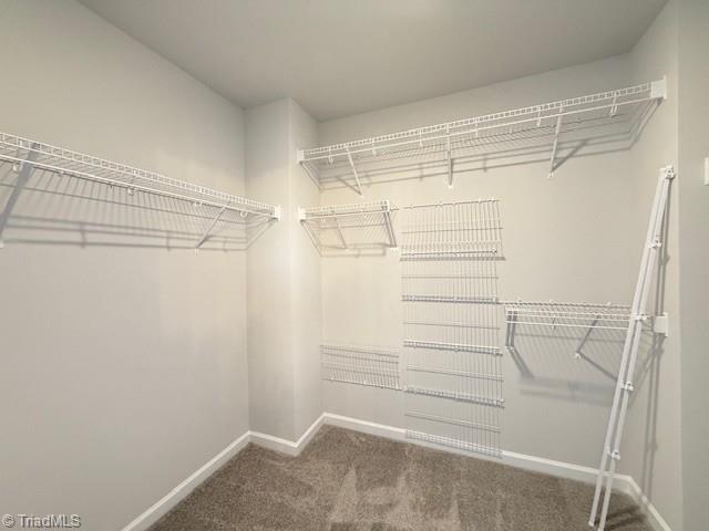 1823 Parham Drive Graham, NC 27253 - Photo 23 of 32 primary closet