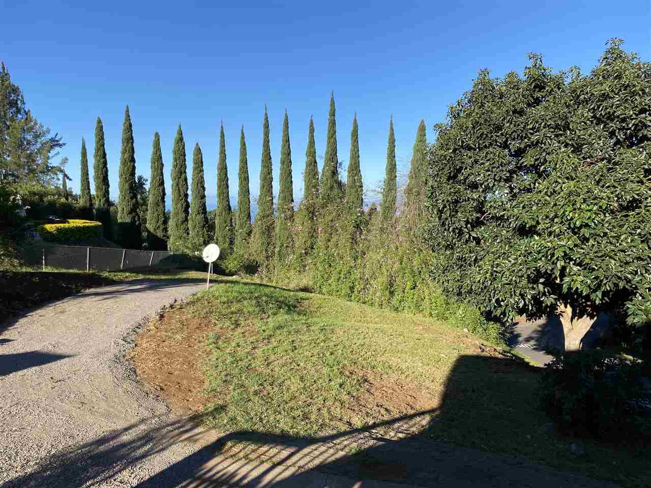 180 Ainakula Road Kula, HI 96790 - Photo 24 of 30 a view of a yard with palm trees