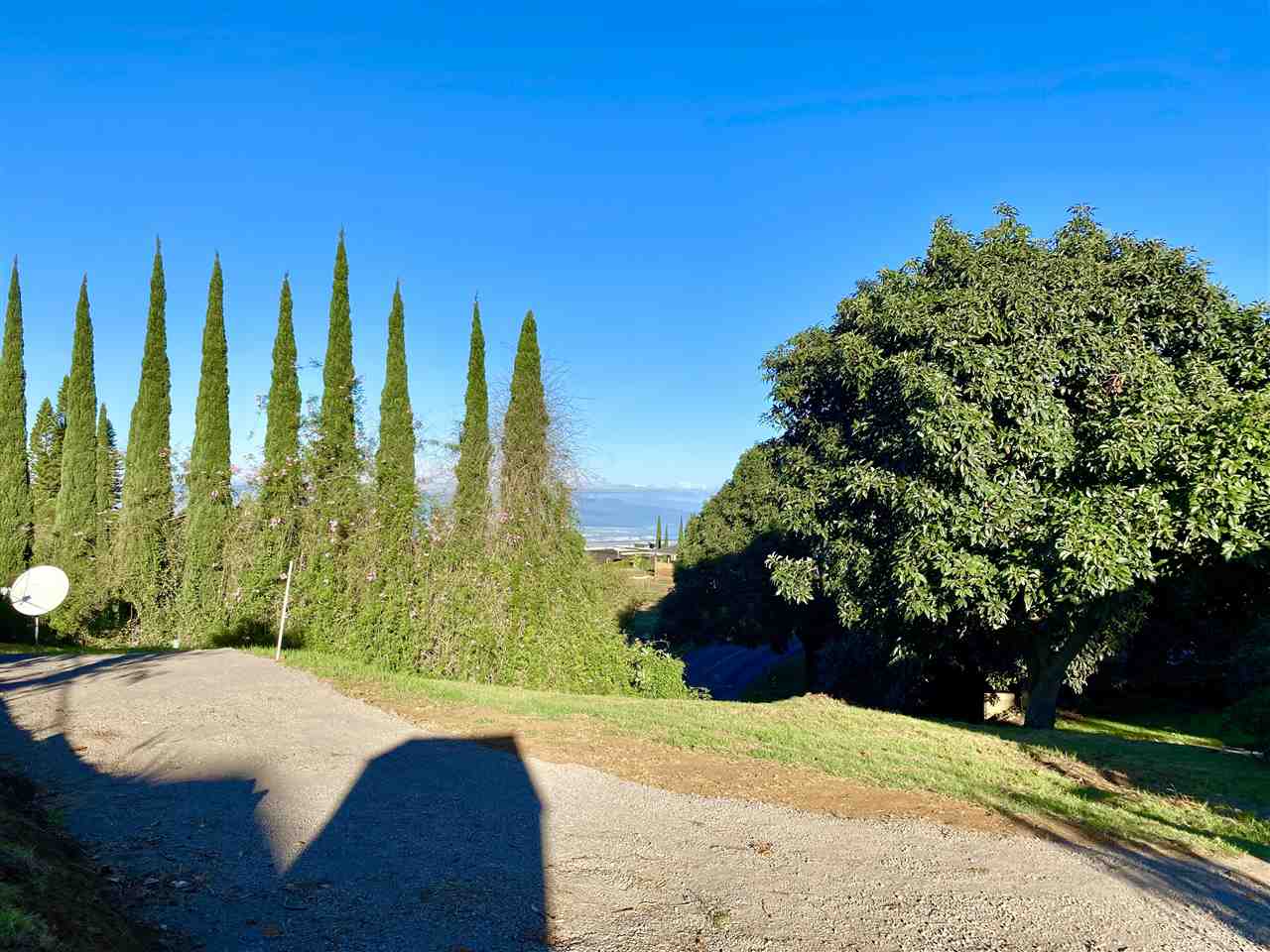 180 Ainakula Road Kula, HI 96790 - Photo 5 of 30 a view of a backyard