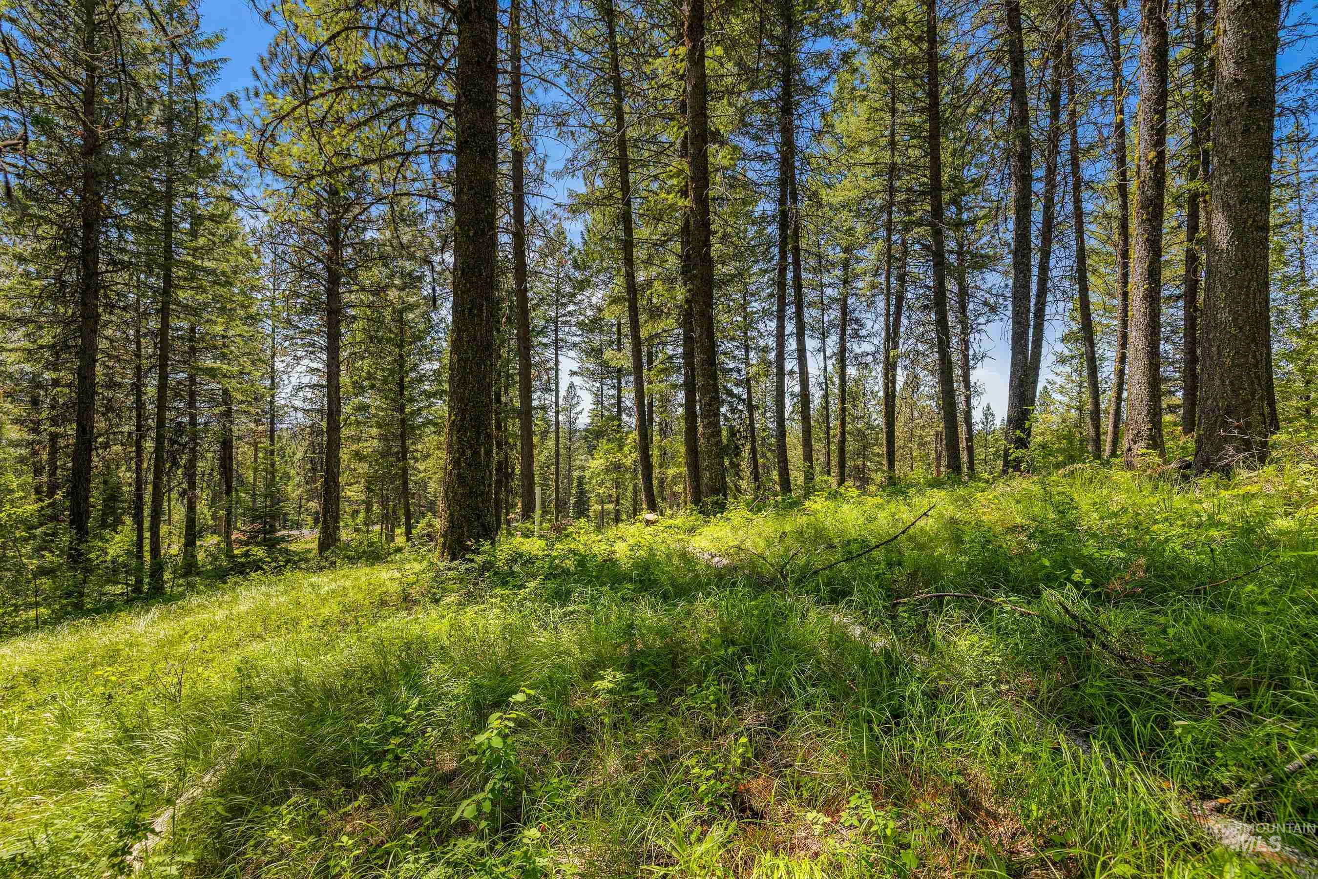 2 Spruce Hill Road McCall, ID 83638 - Photo 11 of 31