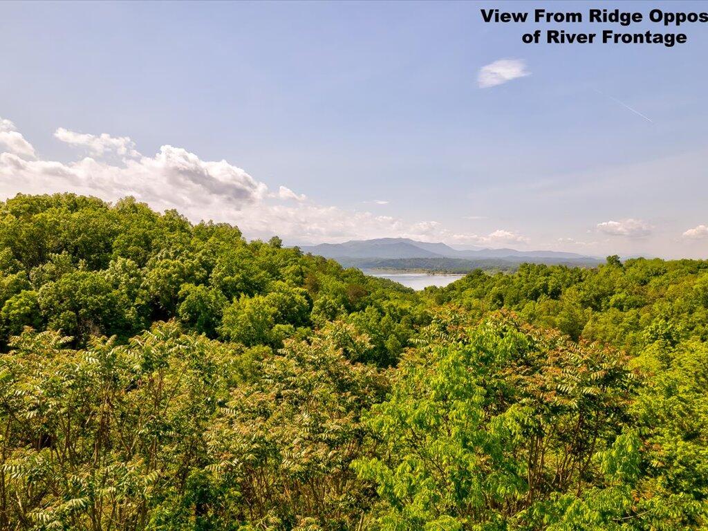 0 Emerald Springs Way Newport, TN 37821 - Photo 11 of 35 Emerald Springs Way - 11