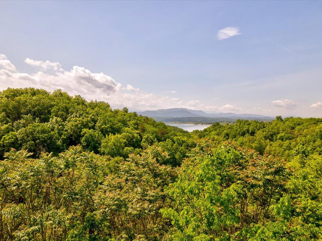 0 Emerald Springs Way Newport, TN 37821 - Photo 21 of 35 Emerald Springs Way - 21