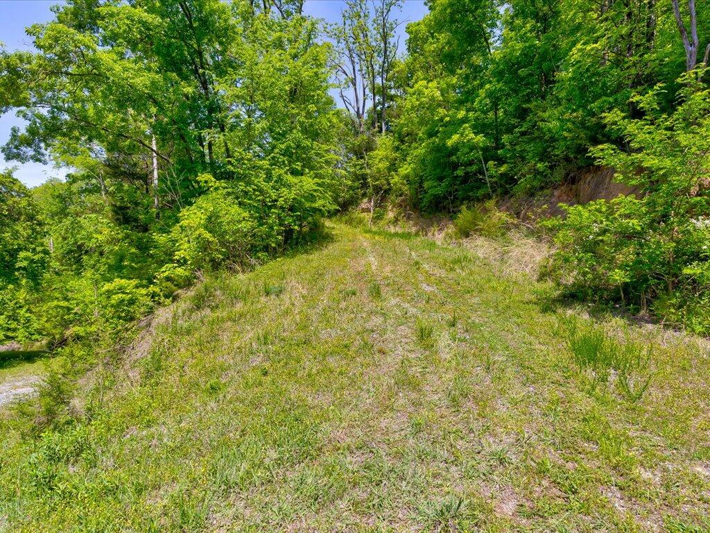 0 Emerald Springs Way Newport, TN 37821 - Photo 5 of 35 Emerald Springs Way - 5