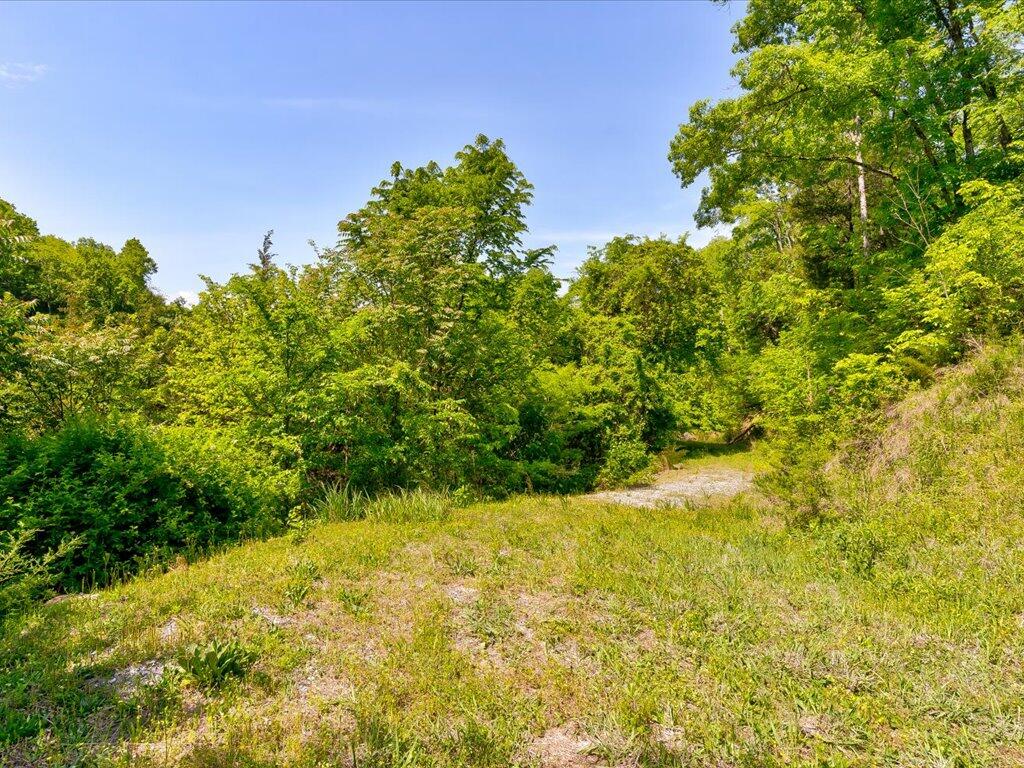 0 Emerald Springs Way Newport, TN 37821 - Photo 6 of 35 Emerald Springs Way - 6