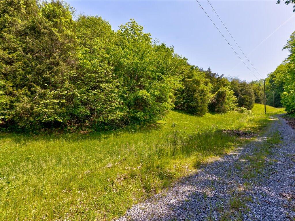 0 Emerald Springs Way Newport, TN 37821 - Photo 8 of 35 Emerald Springs Way - 8