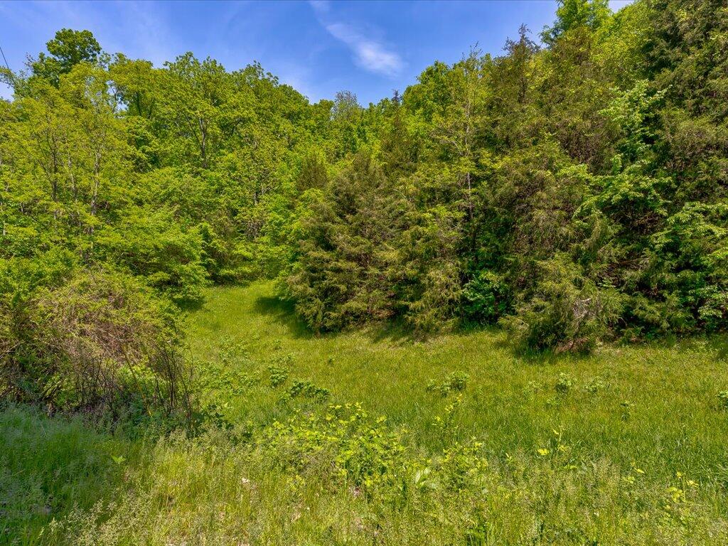 0 Emerald Springs Way Newport, TN 37821 - Photo 9 of 35 Emerald Springs Way - 9