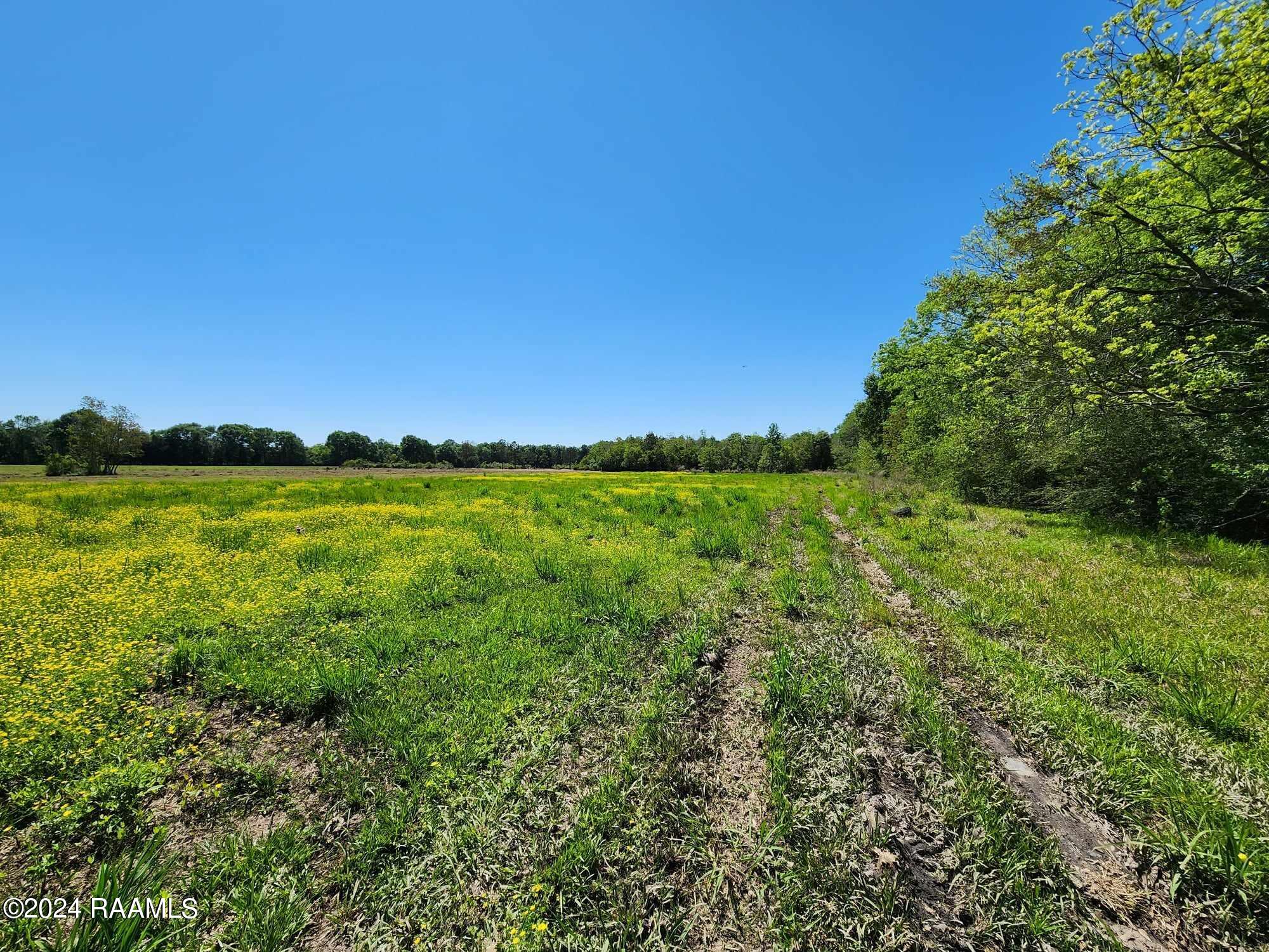 Tbd Duck Road, Unit A1 Church Point, LA 70525 - Photo 1 of 10 Front