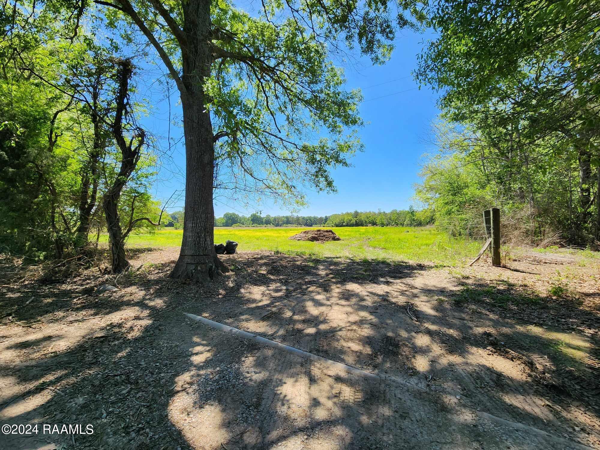 Tbd Duck Road, Unit A1 Church Point, LA 70525 - Photo 2 of 10 12