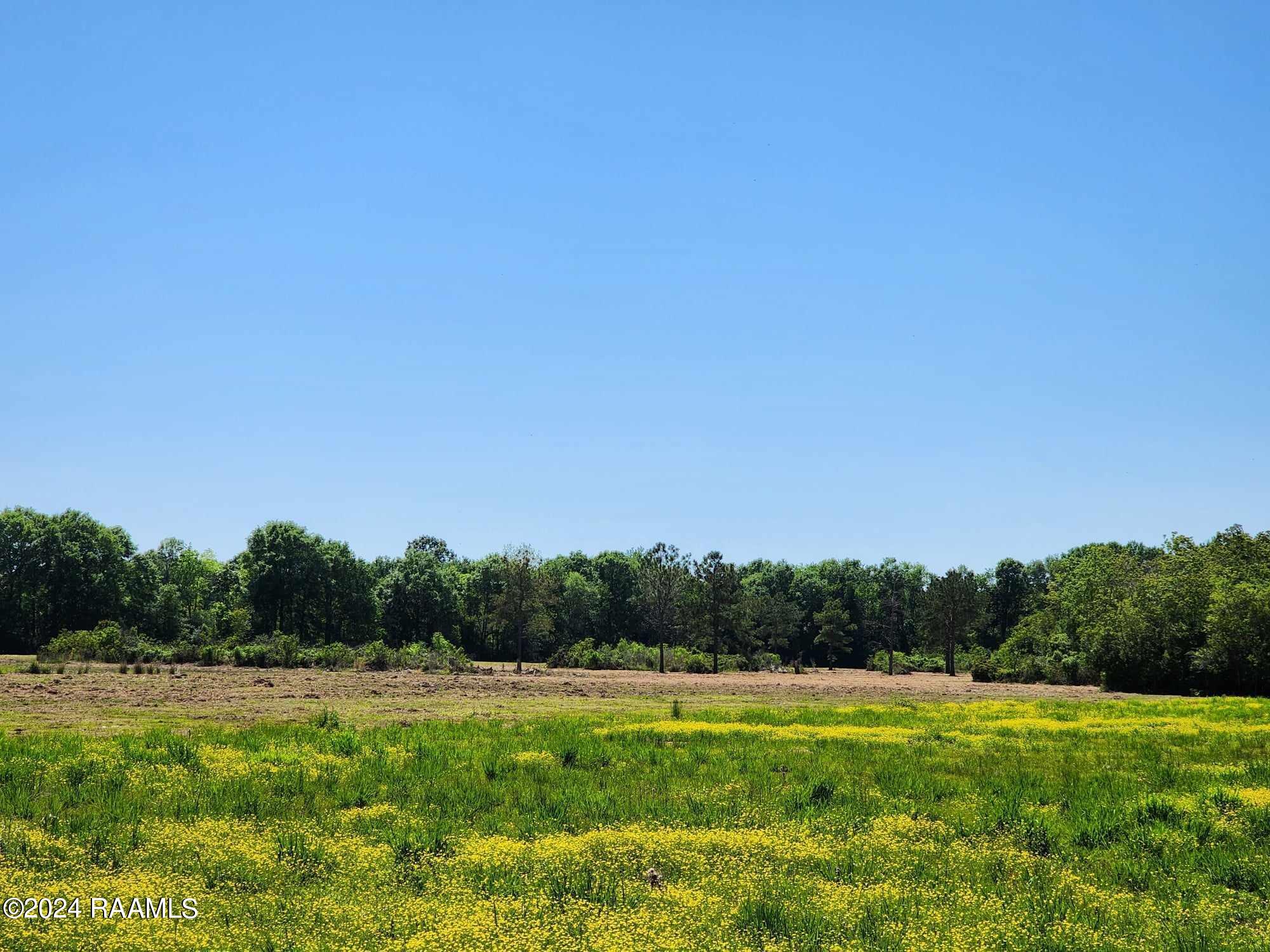 Tbd Duck Road, Unit A1 Church Point, LA 70525 - Photo 3 of 10 lot 1
