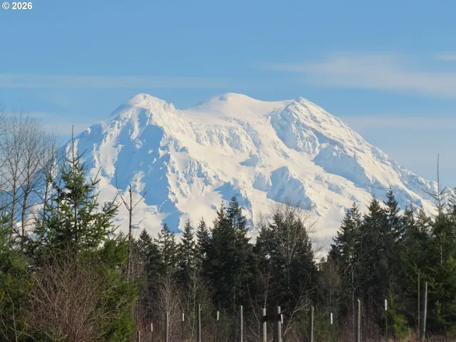 $400,000 | 2906 357th Street East, Eatonville, WA 98328