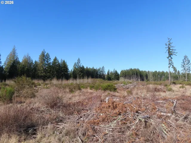 $400,000 | 2906 357th Street East, Eatonville, WA 98328