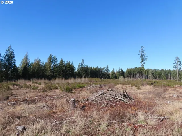 $400,000 | 2906 357th Street East, Eatonville, WA 98328