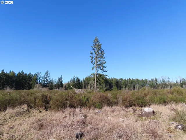 $400,000 | 2906 357th Street East, Eatonville, WA 98328