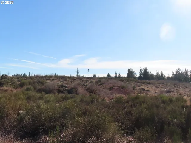 $400,000 | 2906 357th Street East, Eatonville, WA 98328