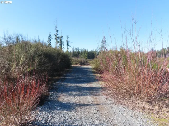 $400,000 | 2906 357th Street East, Eatonville, WA 98328