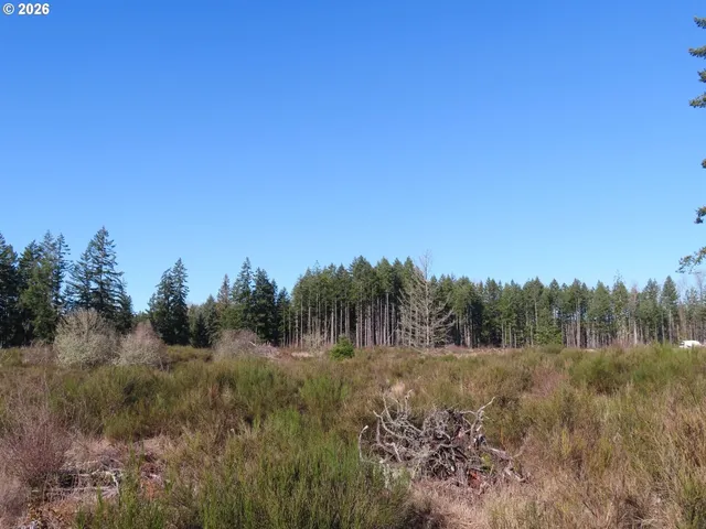 $400,000 | 2906 357th Street East, Eatonville, WA 98328