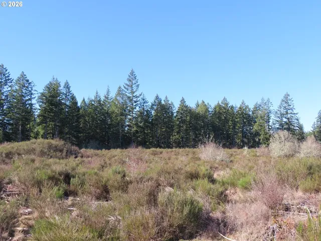 $400,000 | 2906 357th Street East, Eatonville, WA 98328