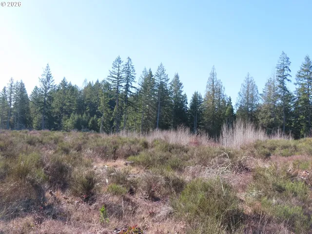 $400,000 | 2906 357th Street East, Eatonville, WA 98328