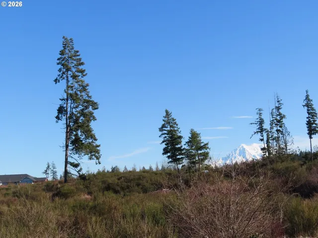 $400,000 | 2906 357th Street East, Eatonville, WA 98328