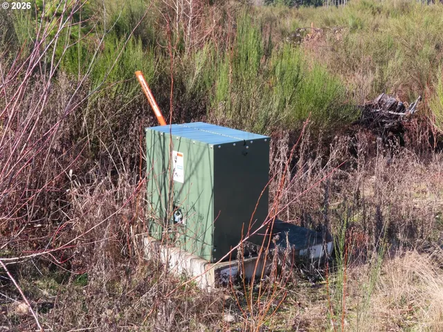 $400,000 | 2906 357th Street East, Eatonville, WA 98328