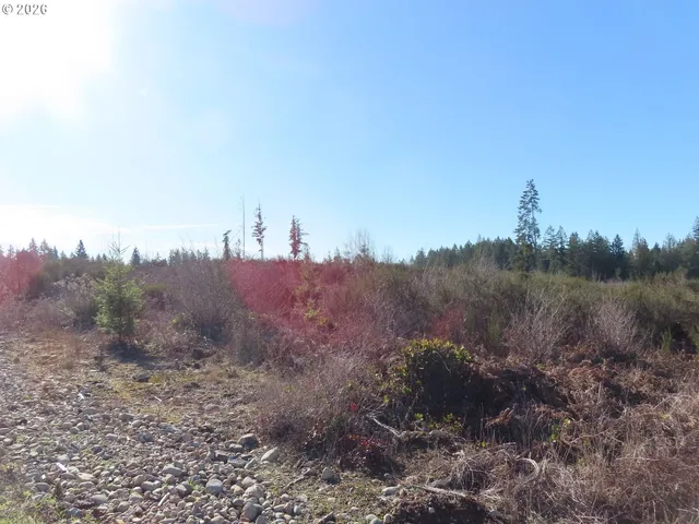 $400,000 | 2906 357th Street East, Eatonville, WA 98328