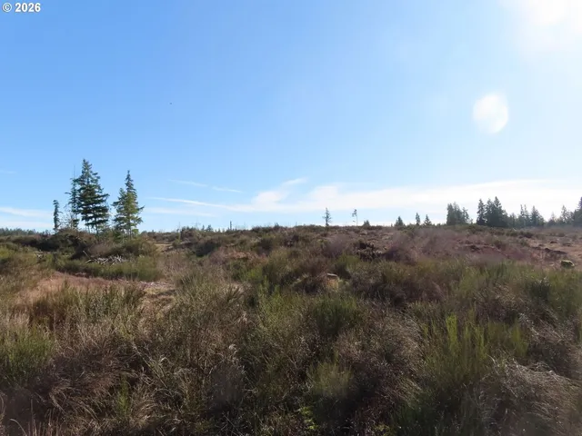 $400,000 | 2906 357th Street East, Eatonville, WA 98328