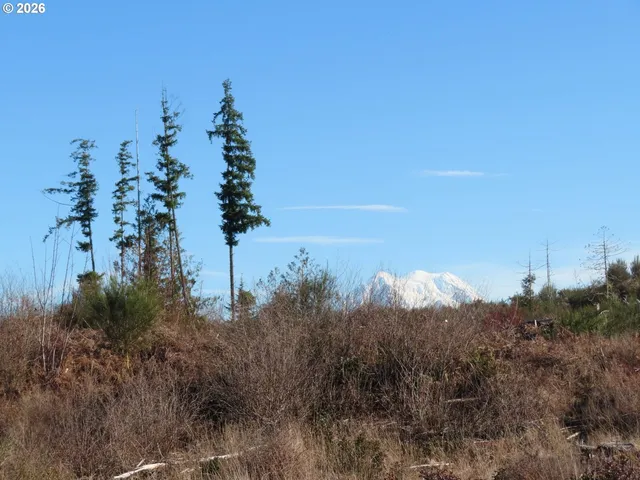 $400,000 | 2906 357th Street East, Eatonville, WA 98328