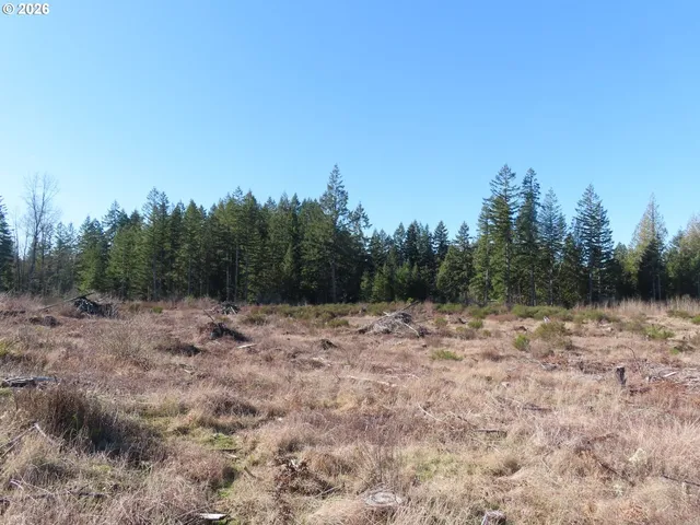 $400,000 | 2906 357th Street East, Eatonville, WA 98328