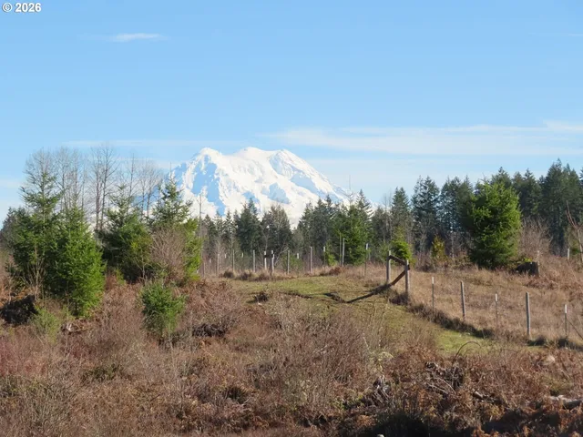 $400,000 | 2906 357th Street East, Eatonville, WA 98328