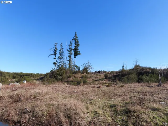 $400,000 | 2906 357th Street East, Eatonville, WA 98328