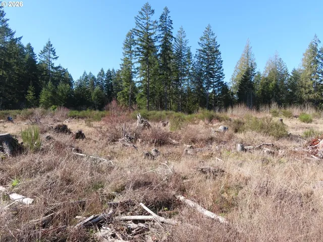 $400,000 | 2906 357th Street East, Eatonville, WA 98328