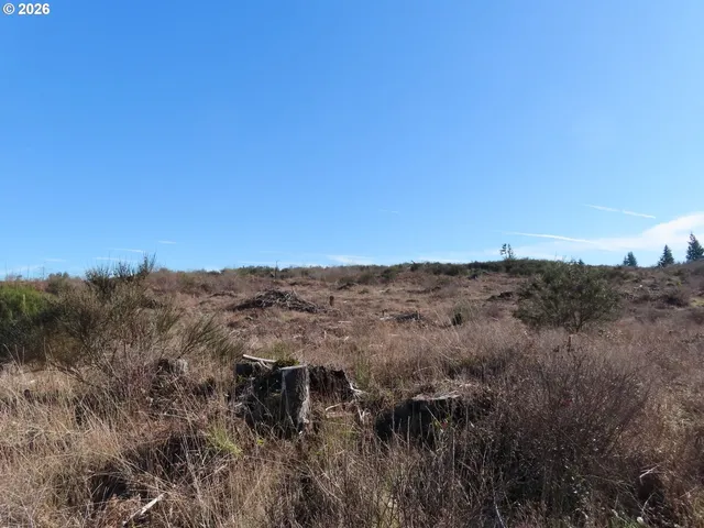 $400,000 | 2906 357th Street East, Eatonville, WA 98328