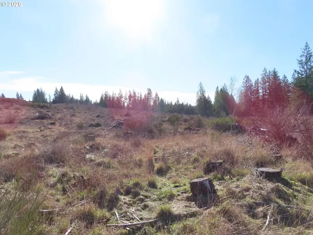 $400,000 | 2906 357th Street East, Eatonville, WA 98328